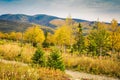 Trekking trail Gaspe Quebce