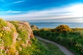 Hiking path with flowers and blue Sky Background in Cornwall, England, UK