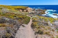 Hiking path in Garrapata State Park by Pacific Royalty Free Stock Photo