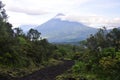 Hiking path through green trees on active volcano Pacaya close to Antigua in Guatemala, Central America