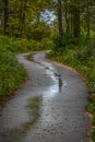 Hiking Path, Harrington Beach State Park, Belgium, WI