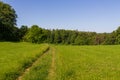 Hiking path, hill panorama and forest with trees near Obertrubach in Franconian Switzerland, Germany