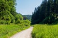 Hiking path, hill panorama and forest with trees near Obertrubach in Franconian Switzerland, Germany