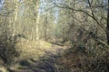 Hiking path meadow landscape in Doeberitzer heide Brandenburg Germany