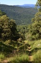 Hiking path in the mountain trekking trail in the woods Royalty Free Stock Photo