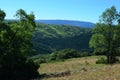 Hiking path in the mountain trekking trail in the woods Royalty Free Stock Photo