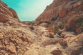 Hiking path in the nature reserve Ein Gedi. Israel Royalty Free Stock Photo