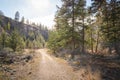 Hiking path through Okanagan Valley forest and ravine in springtime