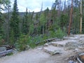 Hiking path in Rockie Mountains