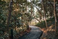 Hiking path at the Singapore Botanic Gardens, Singapore Royalty Free Stock Photo