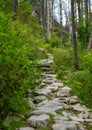 Hiking path in the Tatra Park