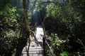 Hiking path to Storms River Suspension Bridge, Tsitsikamma National Park, South Africa Royalty Free Stock Photo