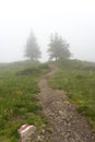 A hiking path with a trail marker in the foreground leading to trees in a foggy mountain landscape Royalty Free Stock Photo