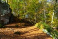 Hiking path in the valley called Mullerthal in Luxembourg