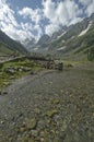 Hiking path on the way to Thajiwas glacier, Sonamarg, India. Royalty Free Stock Photo