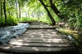 Hiking Path on a Wooden Trail Royalty Free Stock Photo