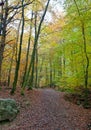 Hiking Path woods autumn, Ardens, Wallonia, Belgium Royalty Free Stock Photo