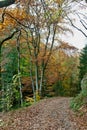 Hiking Path woods autumn, Ardens, Wallonia, Belgium Royalty Free Stock Photo