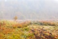 Hiking paths on the moor in fog Royalty Free Stock Photo