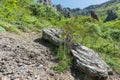 Hiking pathway- journey through roads, mystical nature