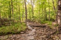 Hiking Pathway `Les Ruisseaux` in Mont-Tremblant