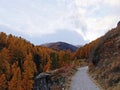Hiking pathway in mountains in autumn