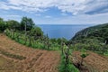 Hiking portofino san fruttuoso trail by the sea landscape vineyard