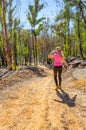 Hiking in regenerating bushland after fire Royalty Free Stock Photo