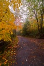 Hiking road