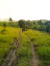 hiking road in grassland