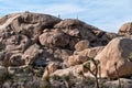 Hiking on the rocks in Joshua Tree National Park Royalty Free Stock Photo