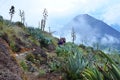 Hiking Santa Ana volcano