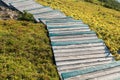 Boardwalk with wooden steps at Cabot Trail, Cape Breton Highlands National Park Royalty Free Stock Photo