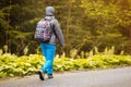 Senior 60 years old woman hiker smiling walk in autumn forest. Active retirement concept Royalty Free Stock Photo