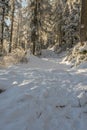 Hiking shoe footprints on fresh snow