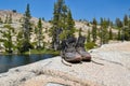 Hiking shoes taking a break Royalty Free Stock Photo