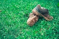 Hiking shoes There is a full mud floor. On the green grass Royalty Free Stock Photo
