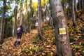 Hiking sign on a tree with hiker at background Royalty Free Stock Photo
