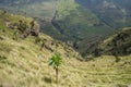 Hiking in the Simien Mountains, Ethiopia Royalty Free Stock Photo