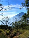 Hiking slope on Mount Sindoro, Indonesia Royalty Free Stock Photo