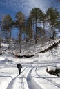 Hiking on snow Royalty Free Stock Photo