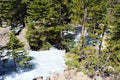 Hiking through snow covered, rocky paths, in a pine forest in the Rocky Mountain National Park, Colorado Royalty Free Stock Photo