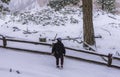 Hiking Bryce Canyon in a snow storm. Royalty Free Stock Photo