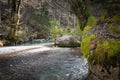 Hiking by source of kamniska bistrica in wintertime, slovenia