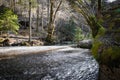 Hiking by source of kamniska bistrica in wintertime, slovenia