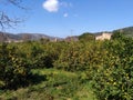 Hiking in Soller- Mallorca,Spain