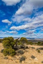 Hiking Summit of McInnis Canyons