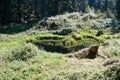 Hiking in the Swiss Alps near mount Arpille, Le Coeur, Ravoire, Valais, Switzerland in summer 2023