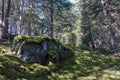 Hiking in the Swiss Alps near mount Arpille, Le Coeur, Ravoire, Valais, Switzerland in summer 2023