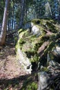 Hiking in the Swiss Alps near mount Arpille, Le Coeur, Ravoire, Valais, Switzerland in summer 2023